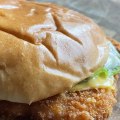 What Kind of Fish is Wendy's Panko Fish Sandwich?