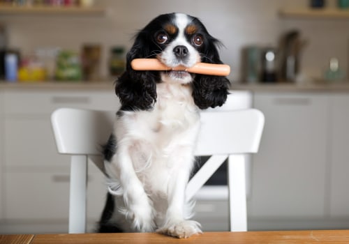 Can a dog eat hot dog bun?